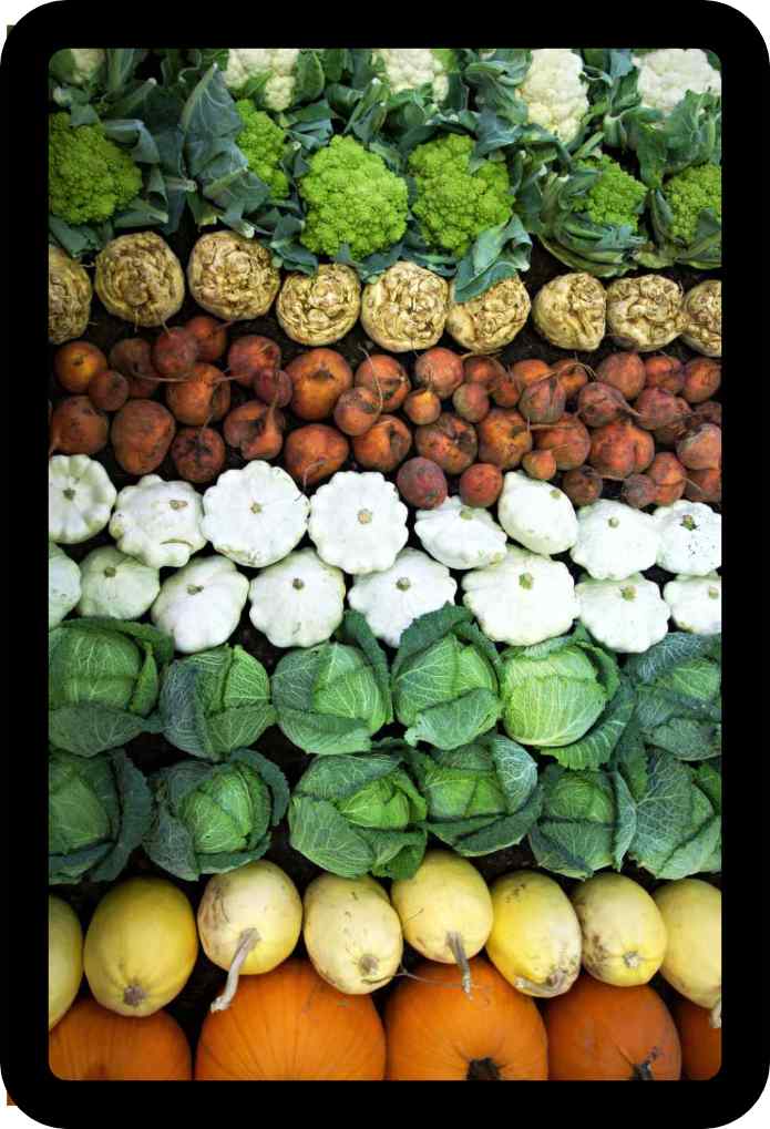 Easy Soups! Deliciously Thick, Creamy & Satisfying Recipes to Fill You Up (Ebook)