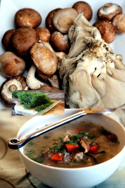 Easy Soups! Deliciously Thick, Creamy & Satisfying Recipes to Fill You Up (Paperback)